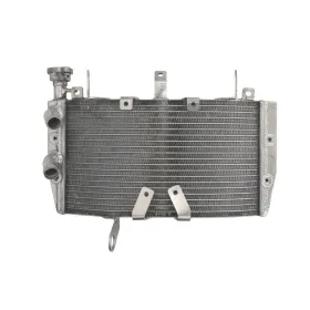 4Ride Radiator DUCATI MONSTER 821 2014-2016