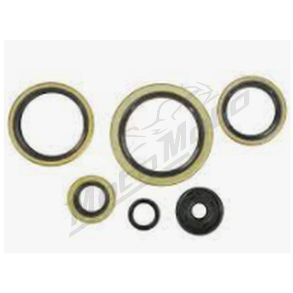 Winderosa (vertex) set (set) of engine seals KTM EXC / MXC / SX 300-380 94-03