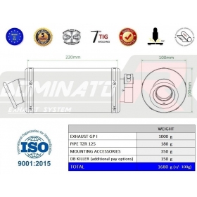 Exhaust silencer Dominator GP1 YAMAHA TZR 125