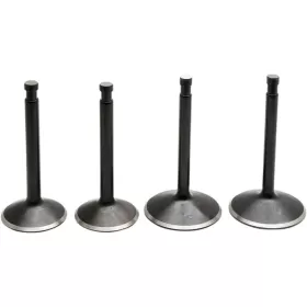 KIBBLEWHITE Black Diamond™ Engine Valve Kit Harley Davidson XLCH / XLH / XLS / XLT / XLX 900-1000 70-83