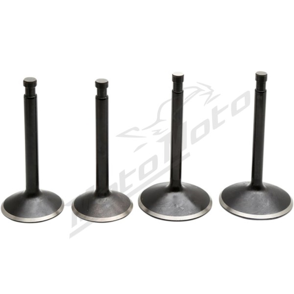 KIBBLEWHITE Black Diamond™ Engine Valve Kit Harley Davidson XLCH / XLH / XLS / XLT / XLX 900-1000 70-83