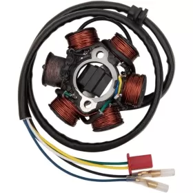 RICK'S MOTORSPORT ELECTRIC OEM Style Stator Can Am DS 70-90cc 08-18