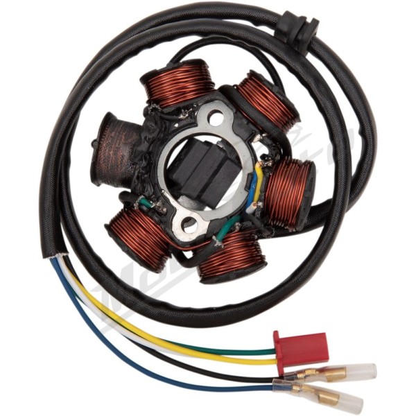 RICK'S MOTORSPORT ELECTRIC OEM Style Stator Can Am DS 70-90cc 08-18