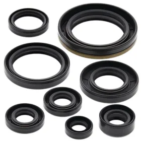 Winderosa (vertex) set (set) of engine seals Suzuki RM 250 87-88