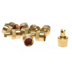 VALVE CAPS WITH CORE 10PCS