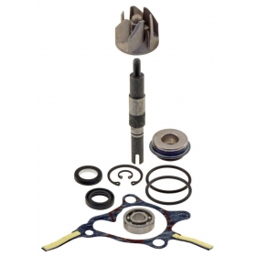 Water pump repair kit HONDA FOREISGHT 250 4T