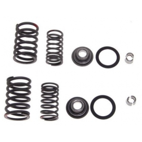 Valve spring, rubber, rentainer kit GY6