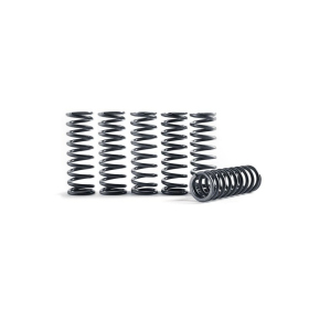 HINSON Clutch Springs Honda / KTM / Suzuki / Husqvarna 125-310 87-18