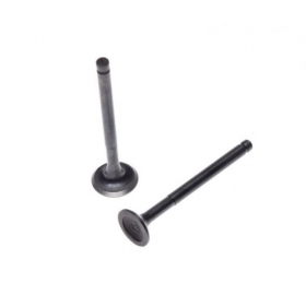Valve kit 50/80cc