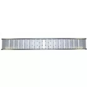 Foldable ramp 220x29.3cm MAX 270Kg.