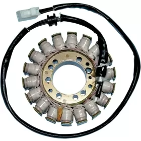 RICK'S MOTORSPORT ELECTRIC Generatorius Triumph Speed Triple / Sprint / Tiger 1050cc 05-19