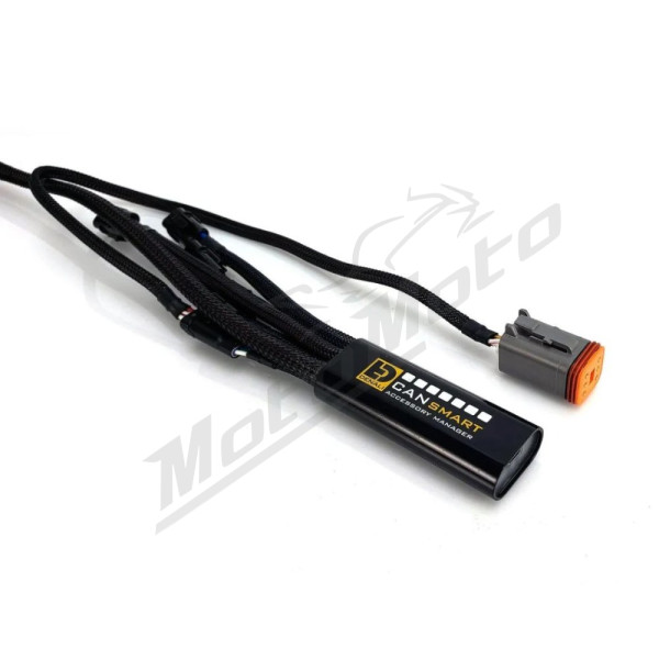 DENALI CANsmart™ Controller GEN II V-Twin Harley Davidson FLD / FLFBS / FLHR / FLHX / FLSTF / FXDL 883-1923cc 11-25