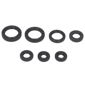 Winderosa Engine gaskets set 7pcs. Honda TRX 350 00-06