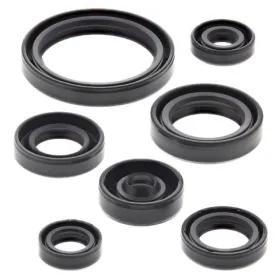 Winderosa (vertex) set (set) of engine seals Yamaha WR / YZ 450 F / FX 14-19