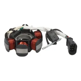 Athena generatorius Aprilia / Derbi / Gilera / Piaggio / Vespa 50 01-18