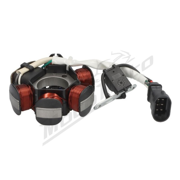 Athena generatorius Aprilia / Derbi / Gilera / Piaggio / Vespa 50 01-18