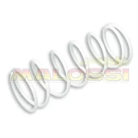 Heavy-duty Compression Spring MALOSSI Honda / Keeway / Kymco / Piaggio / Vespa 125-150cc 4T