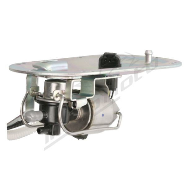 Fuell pump Harley Davidson FLHRS 2005-2007