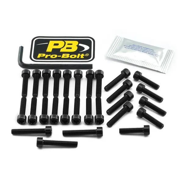 PRO BOLT Aluminium Engine Bolt Kit For Suzuki GSX 1400cc 01-07