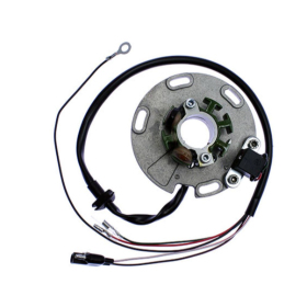 ELECTREX STATOR TM Racing TM 85-250cc 00-02