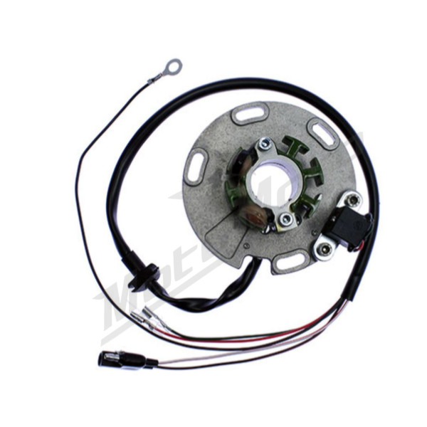 ELECTREX STATOR TM Racing TM 85-250cc 00-02
