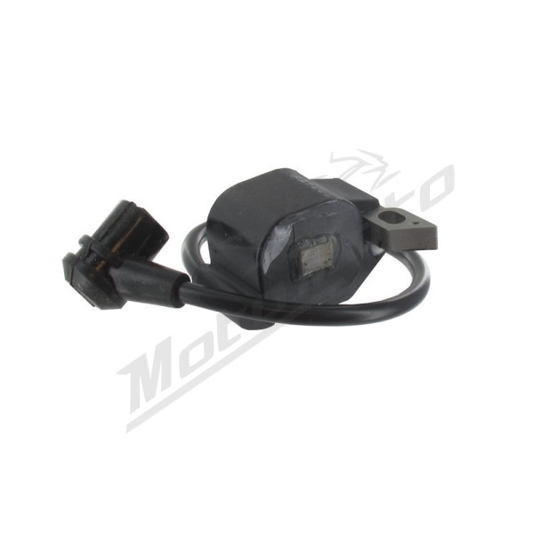 Eurogarden Ignition coil Stihl 009-025 / FS160-290 / MS200-290