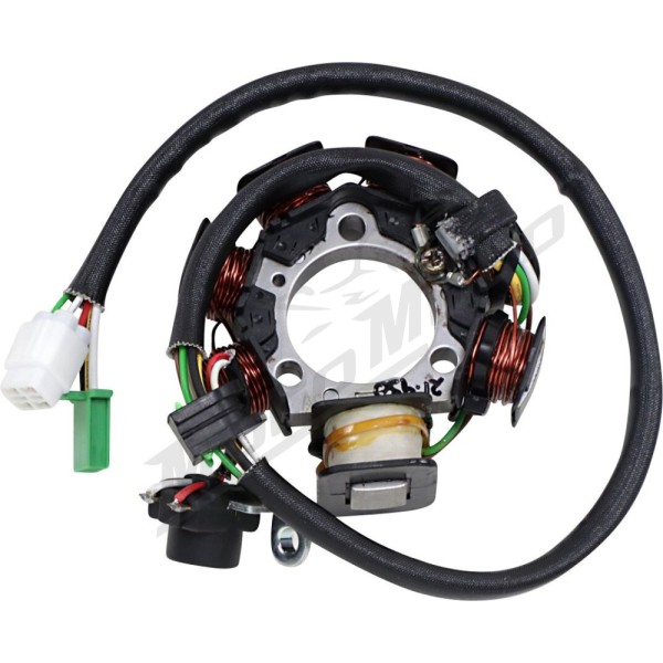 RICK'S MOTORSPORT ELECTRIC OEM Style Stator Yamaha TT-R 90E 03-07