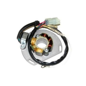 ELECTROSPORT Stator & Lightning Coil KTM SXS / SX / EXC 99-12