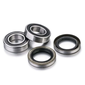 FACTORY LINKS Wheel Bearing Kit BETA RR 50 16-24