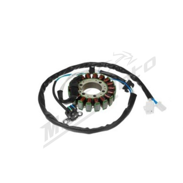 DZE ALTERNATOR WINDING (STATOR) Yamaha XV 125-250 Virago 95-07