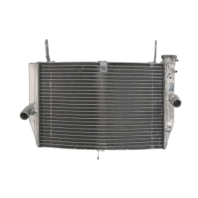 4Ride Radiator SUZUKI GSX-S 1000 2016-2018