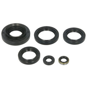 Winderosa Engine gaskets set (quantity per set 6 pcs) Kawasaki Brute Froce / KRF / KVF 750 12-14