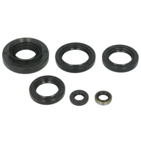 Winderosa Engine gaskets set (quantity per set 6 pcs) Kawasaki Brute Froce / KRF / KVF 750 12-14