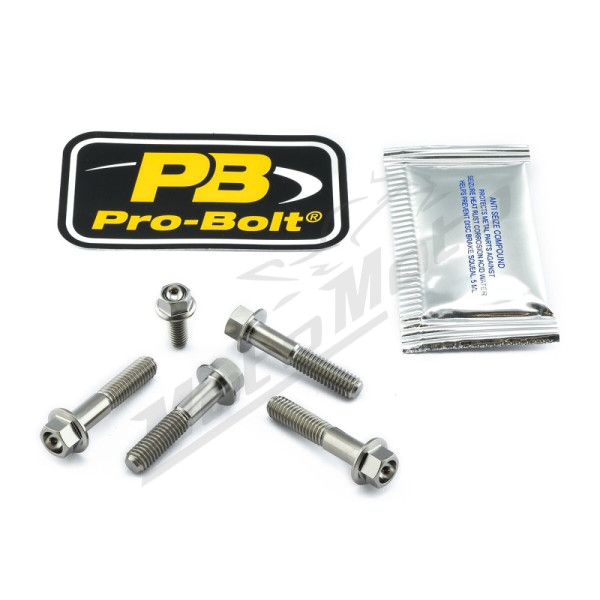 PRO BOLT Titanium Brake & Clutch Lever  Pinch Bolt Kit BMW R 1200cc 13-16