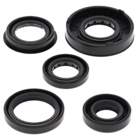 Winderosa (vertex) set of engine seals Polaris Predator / Sportsman 90 05-06