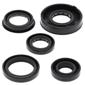 Winderosa (vertex) set of engine seals Polaris Predator / Sportsman 90 05-06