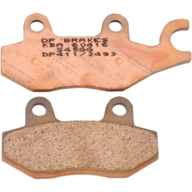 DP BRAKES Standard DP Sintered Brake Pads Benelli / Can Am / CF Moto / Kawasaki / Kymco / Suzuki / Triumph / Yamaha 50-1200cc 89-25