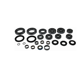 ALL BALLS Rear differential repair kit Polaris Sportsman 4x4 RSE 500 2000
