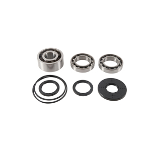 ALL BALLS Front differential repair kit Polaris RZR 900-1000 16-17