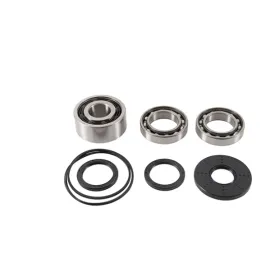 ALL BALLS Priekinio reduktoriaus remonto kompl. Polaris RZR 900-1000 16-17