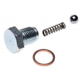 Gear shifting bolt set MZ ETZ 250