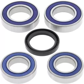ALL BALLS galinio rato guolių kompl. DUCATI GT / MONSTER / SPORT / ST2 / ST3 / ST4 620-1000cc 1998-2014