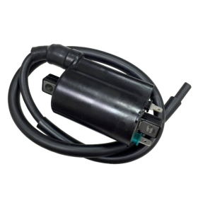 Bronco Ignition coil Yamaha Grizzly / Raptor
