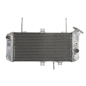 4Ride Radiator SUZUKI SV 650 05-10