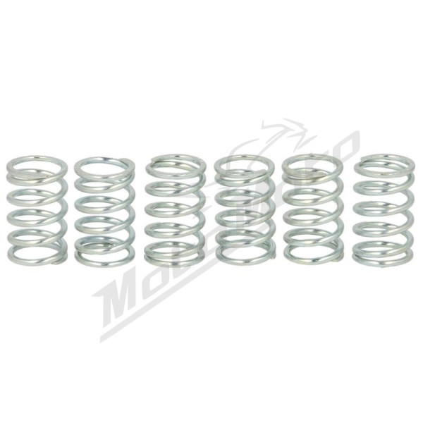 FERODO Clutch Spring Set Honda / Kawasaki / Modenas 50-130cc 1999-2015