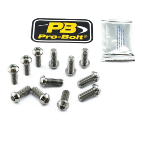 PRO BOLT Titanium Brake Rotor Mounting Bolt Kit Aprilia / Ducati / MV Agusta / Polaris 50-1100cc 90-22