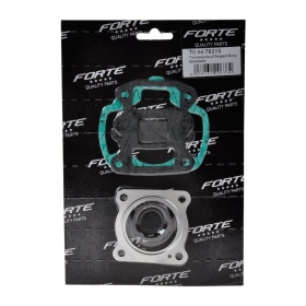 Forte Gasket set Cylinder Peugeot Vertical 92- AC