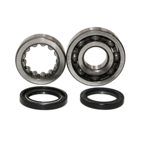 BEARING WORX Crankshaft bearings with sealers Honda CRF 450X 05-17