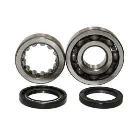 BEARING WORX Alkūninio veleno guolių ir riebokšlių kompl. Honda CRF 450X 05-17