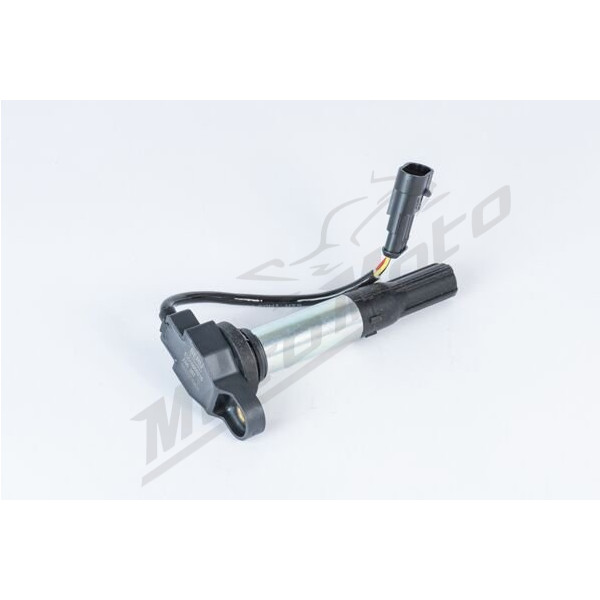 BERU Uždegimo ritė Aprilia RSV / Tuono 1000cc 090-14